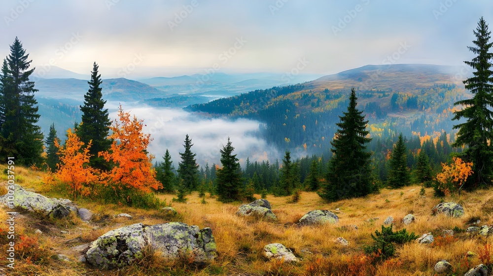 Beautiful mountain landscape with fog in the early morning. Autumn mood. Beautiful mountain landscape with fog in the early morning. Autumn mood.