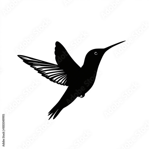 Hummingbird Silhouette, Ill...