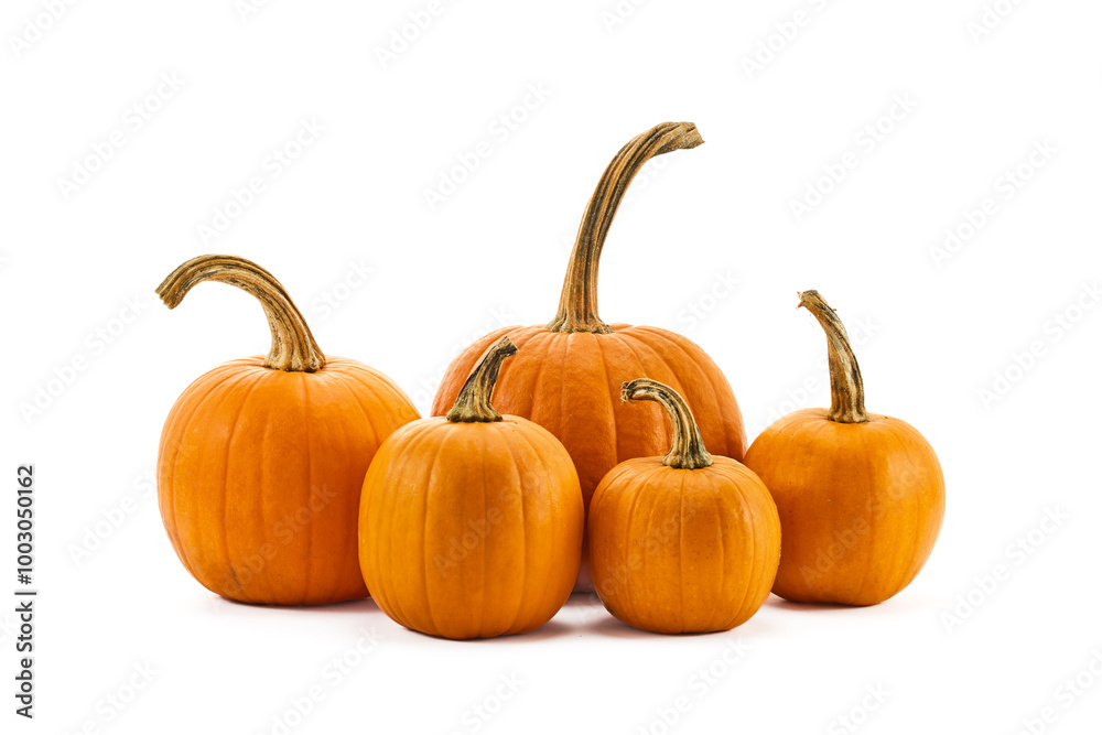 Fototapeta premium Pumpkins with stems on a white background, showcasing autumn harvest atmosphere.
