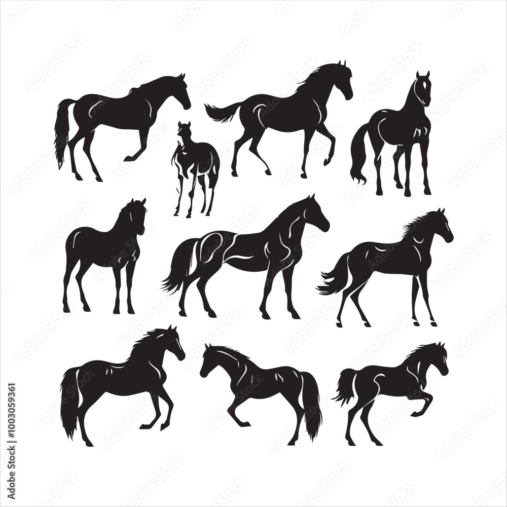 silhouette of a horse silhouette of a horse