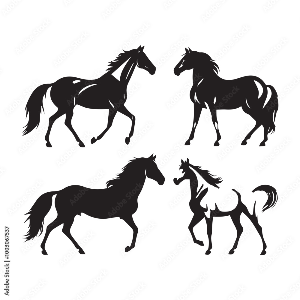 silhouette of a horse silhouette of a horse
