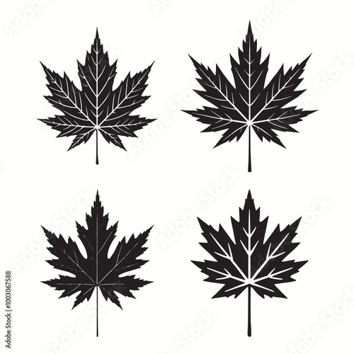 maple leaf silhouettes
