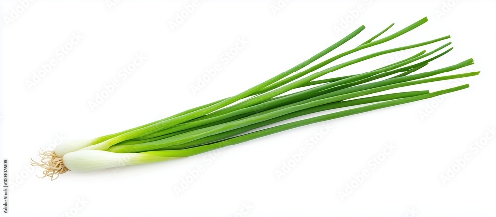 Fresh green onions arranged artistically against a bright white background Fresh green onions arranged artistically against a bright white background