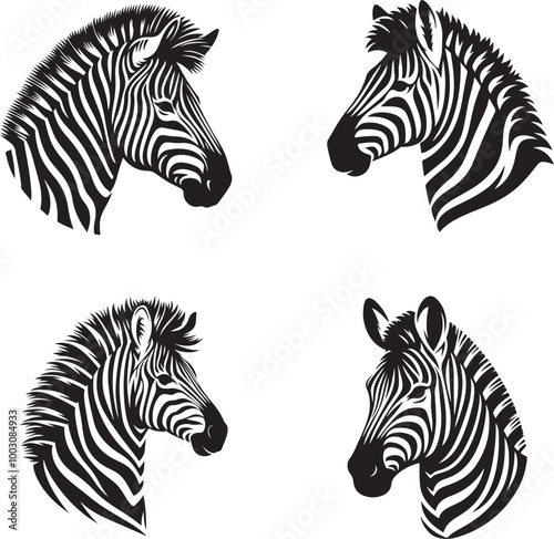 zebra vector illustration photo