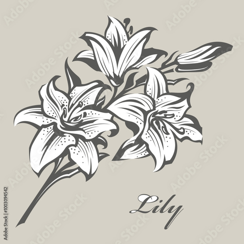 emblem of lily bud for flower shop isolated on grey background