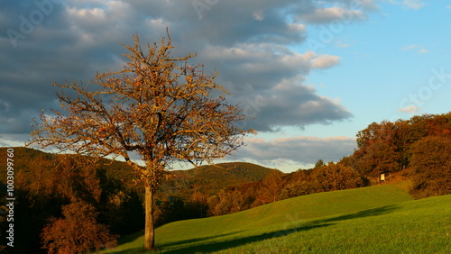 Herbst, Landwirtschaft, Wienerwald! photo