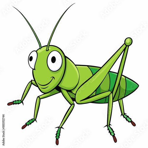 green grasshopper isolated on white