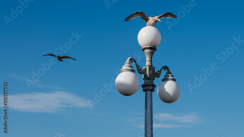 Seagull Perched Atop Beach Lamp