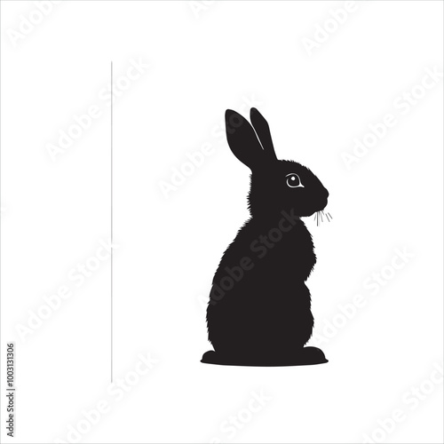 white rabbit isolated on white background