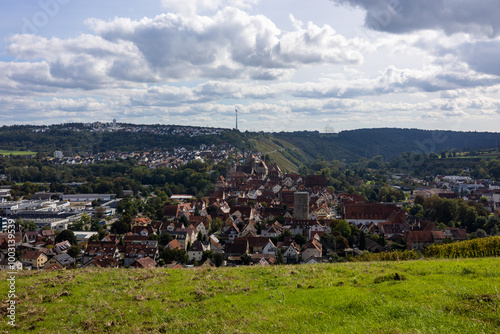 Blick auf die Weinstadt Besigheim im Neckartal, mit der Altstadt in der Bildmitte, bei schönem Herbstwetter.
