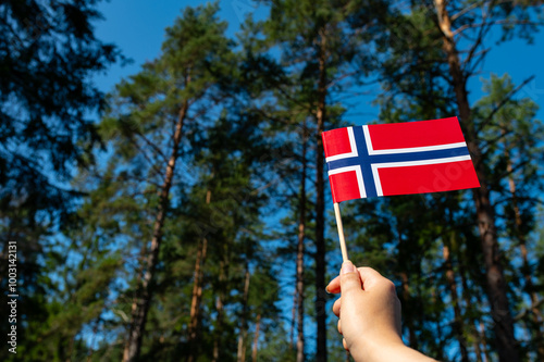 Ecology concept. Nature. Sweden flag is isolated on the forest background. flag symbols of Sweden. close up of a Sweden flag on the background of trees. photo