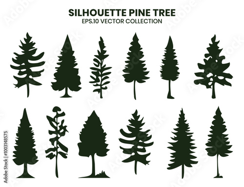 Green silhouette  various pines trees collections.Vector illustration