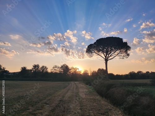 Stradone all'alba