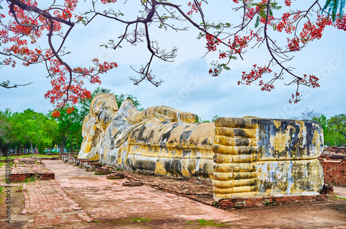 Obraz na płótnie Reclining Buddha of Wat Lokaya Sutha, Ayutthaya, Thailand w salonie