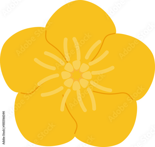 buttercup flower