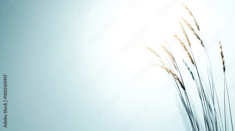 Tall grasses dance softly in the breeze under a glowing evening sky evoking tranquility Tall grasses dance softly in the breeze under a glowing evening sky evoking tranquility