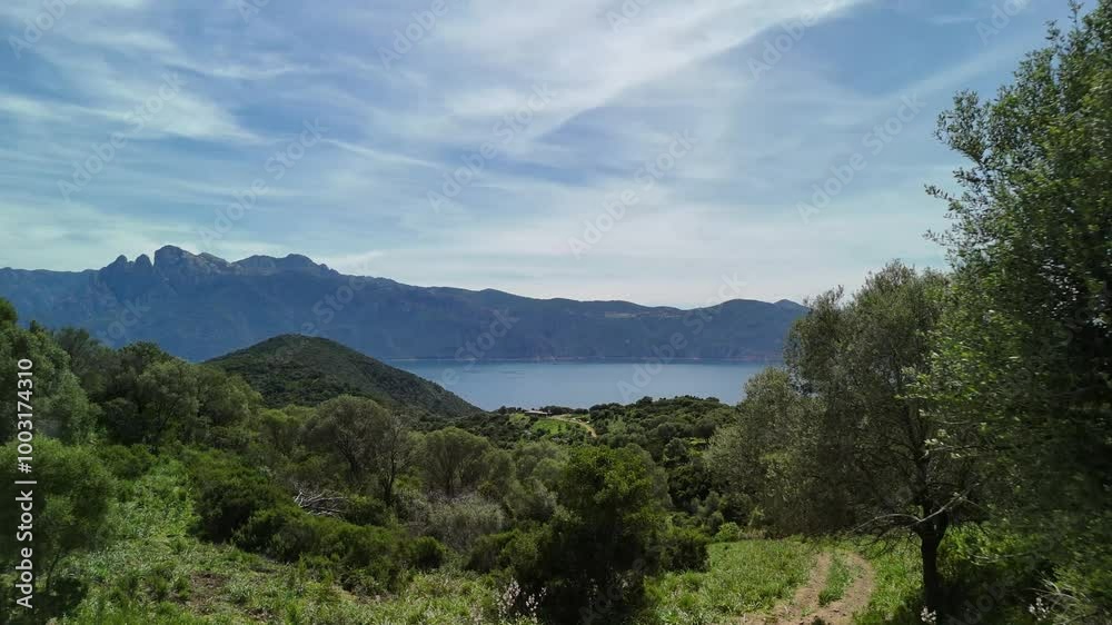 Discover the scenic beauty of Corsica's coastline and lush landscapes on a sunny day Discover the scenic beauty of Corsica's coastline and lush landscapes on a sunny day