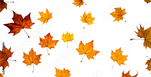 Scattered Autumn Leaves on a White Background