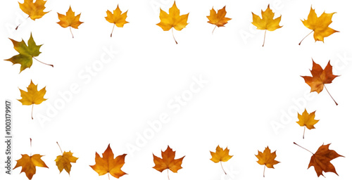 Scattered Autumn Leaves on a White Background