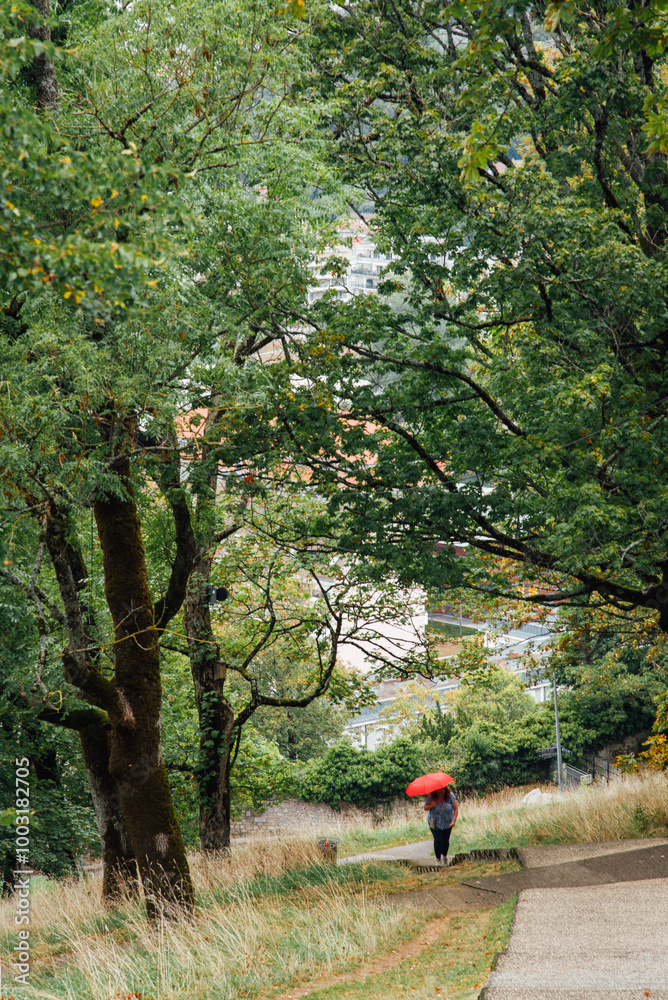 une femme avec un parapluie rouge marchant dans un parc urbain. Femme sous la pluie dans un bois. une femme avec un parapluie rouge marchant dans un parc urbain. Femme sous la pluie dans un bois.