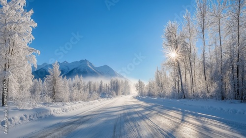 Winter sun filters through frost-covered trees along a road in Palmer, Alaska, with frost sparkling in the air against a blue sky and the Chugach twin peaks.