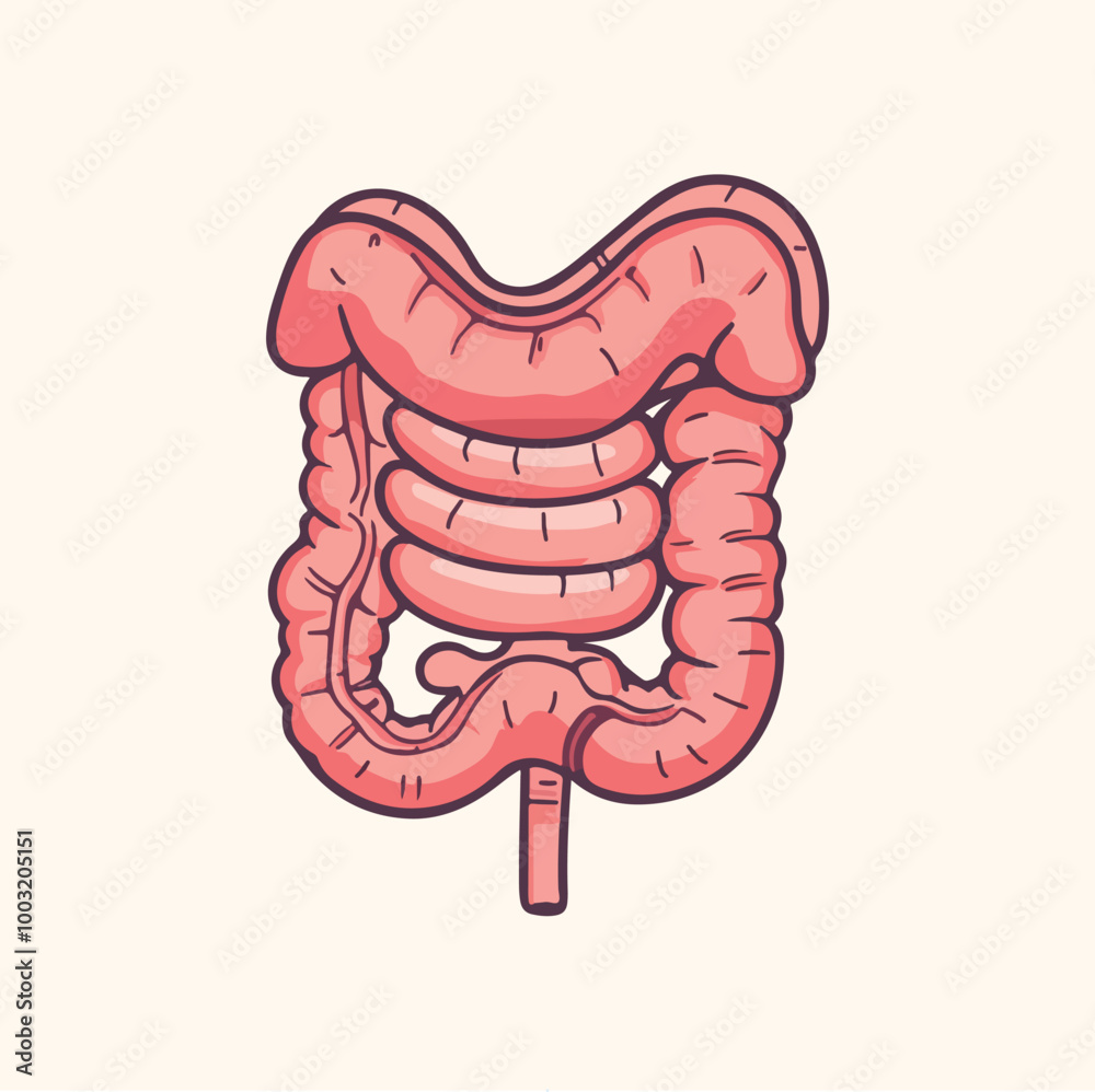 Intestine colon organ cartoon vector illustration Intestine colon organ cartoon vector illustration