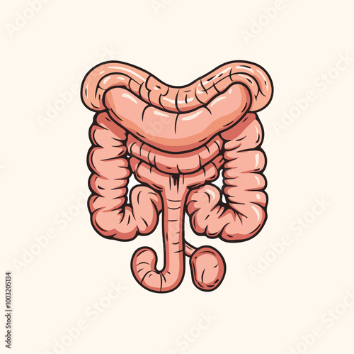 Intestine colon organ cartoon vector illustration