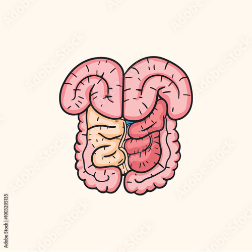 Intestine colon organ cartoon vector illustration