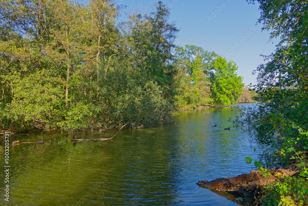 Annateich in Hannover Hermann - Löns - Park