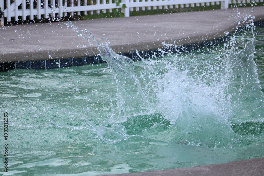 custom made wallpaper toronto digitalSplash into the pool