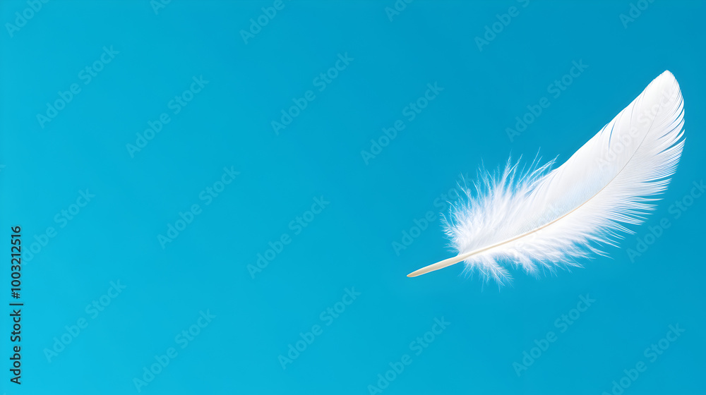A soft sky-blue background with a single white feather slowly descending. Feather on a blue background.


