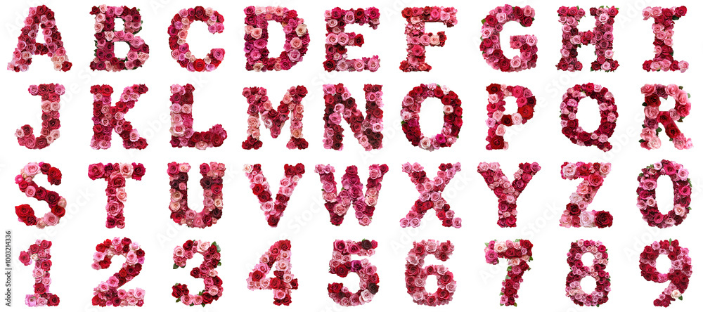 Alphabet flower rose letter transparent sample mockup isolated png with no background. Alphabet flower rose letter transparent sample mockup isolated png with no background.