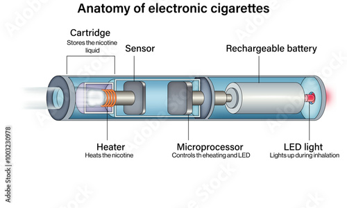 Anatomy of an E-Cigarette with Function, Labelled Diagram