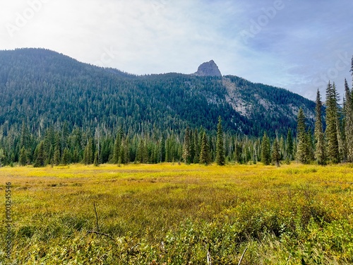 Autumn in the mountains landscape mountain nature sky forest mountains grass tree meadow trees hill green cloud view. Autumn in the mountains clouds summer park field valley fall scenic travel.