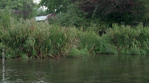 Generic b roll footage of the River Wye slowly meandering past reeds and lush green vegetation. photo