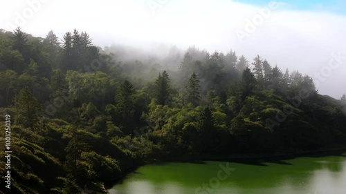 This stunning aerial view captures the breathtaking fogcovered Oregon coastline, highlighting the dense, lush forests and the serene bay waters, all beneath a beautifully cloudy sky photo