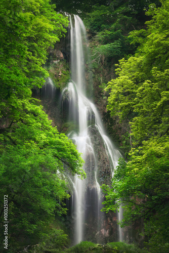 Gorgeous tranquil waterfalls framed with lush green vegetation. Vertical nature shot of cascading smooth water and vibrant foliage