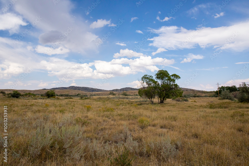 Wild West Wyoming landscape pioneer trek area, open sky Wild West Wyoming landscape pioneer trek area, open sky