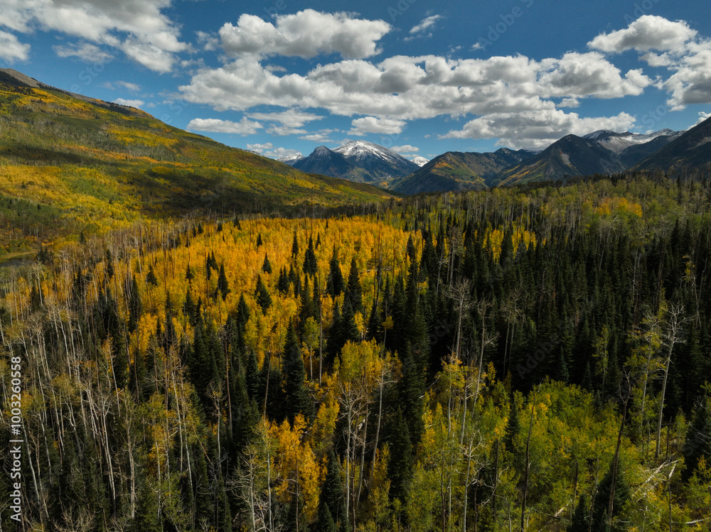 Fototapeta premium Aerial view of beautiful fall foliage with snow topped mountains in Colorado, USA