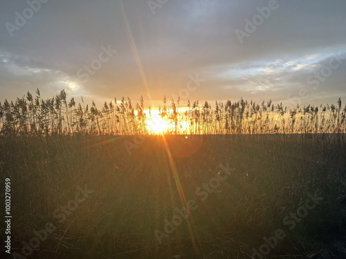 Autumn sunrise over the Curonian Lagoon. View of the bay from the resort town of Nida, Lithuania. photo