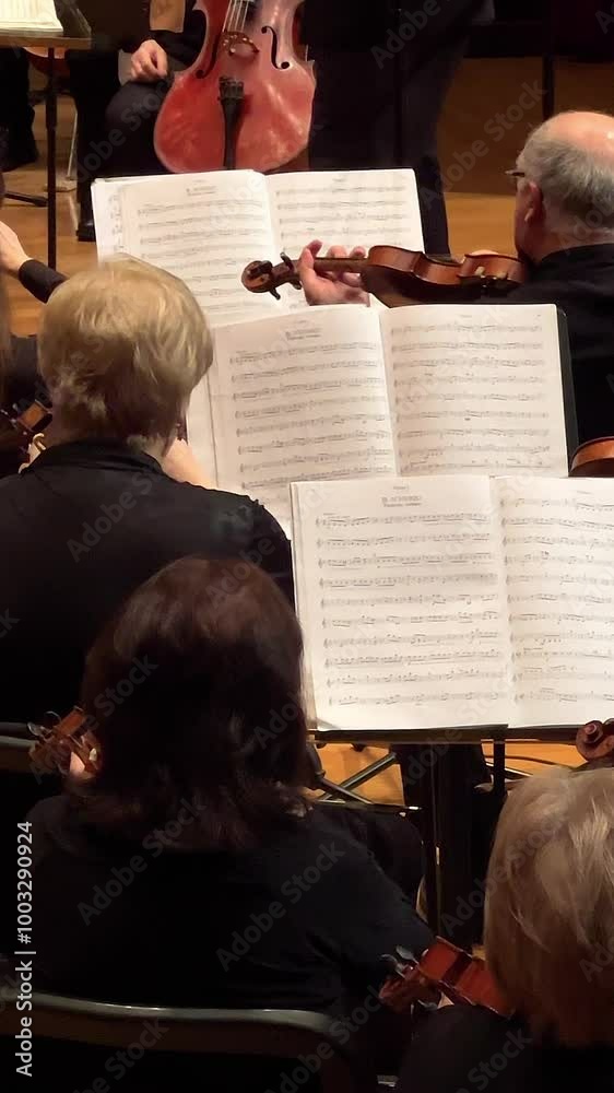 VERTICAL. Orchestra of Violin Musicians Performing Live on Stage