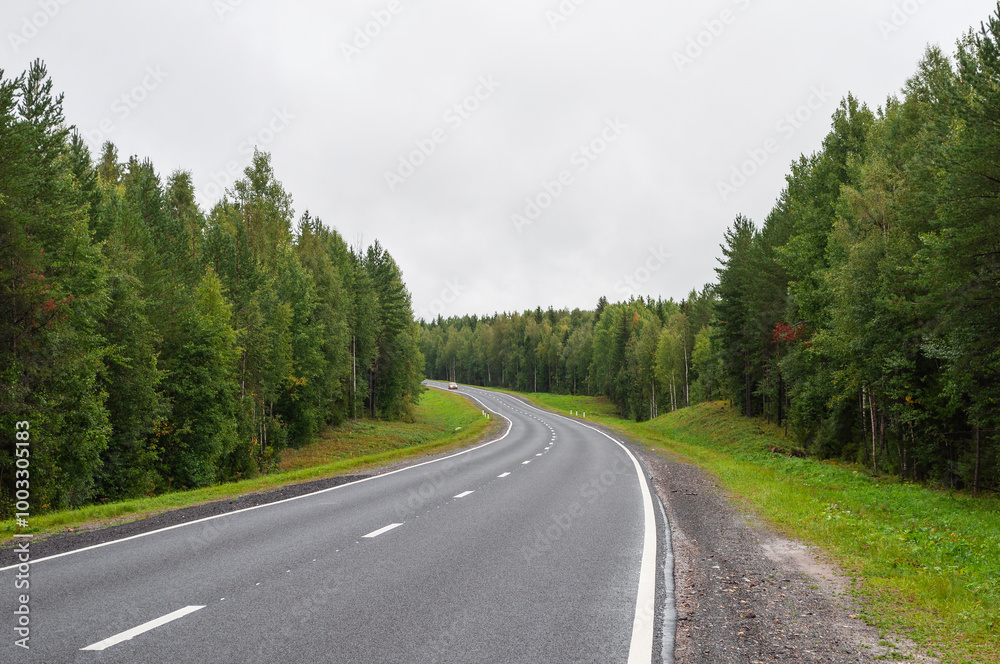 Asphalt road through the pine forest in summer time. Arhangelsk region, Russia Asphalt road through the pine forest in summer time. Arhangelsk region, Russia