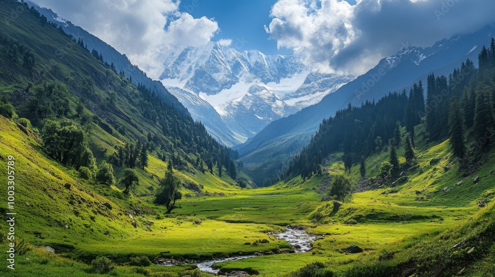A valley with a stream running through it, surrounded by green mountains and a snowy peak in the distance.
