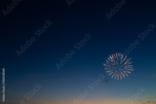 Fireworks in the night sky