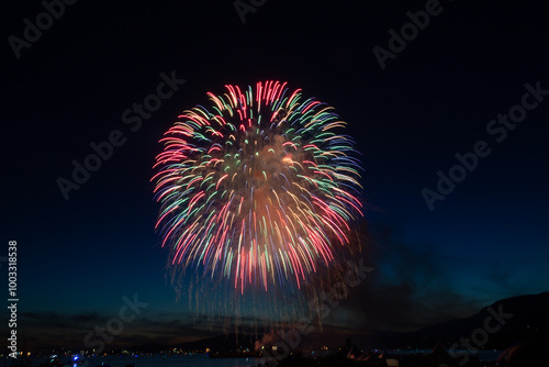 Fireworks in the night sky