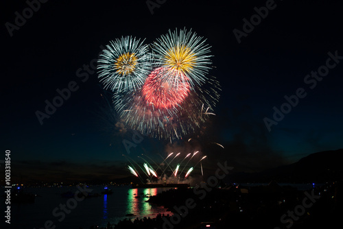 Fireworks in the night sky
