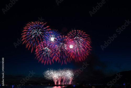 Fireworks in the night sky