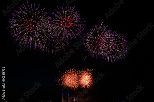 Fireworks in the night sky