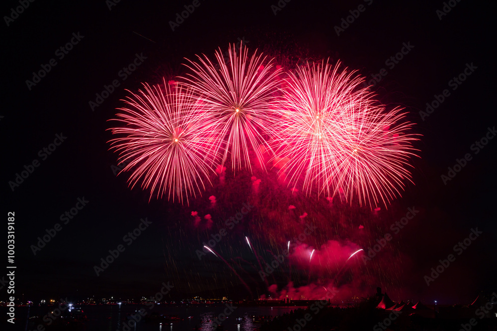 Fireworks in the night sky Fireworks in the night sky