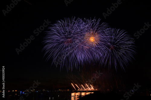Fireworks in the night sky